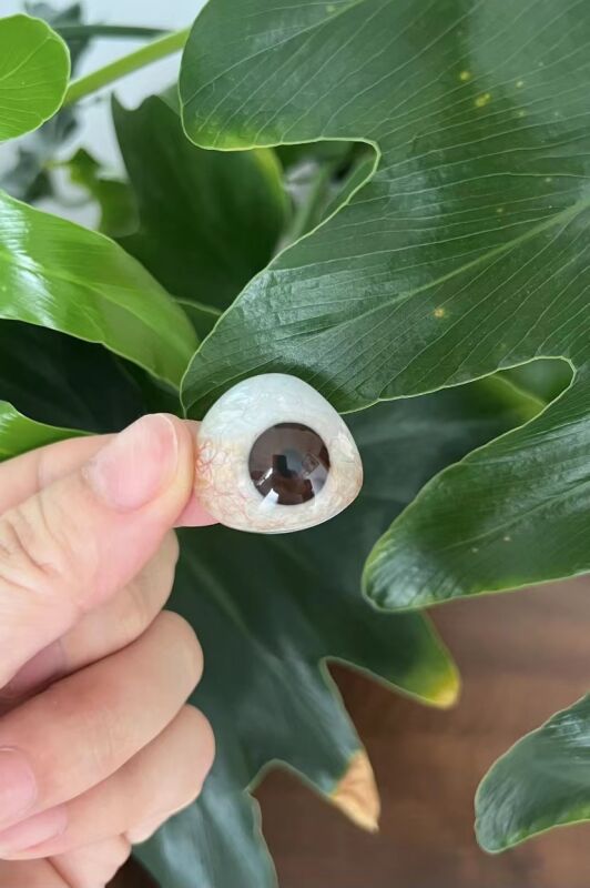 超薄型义眼